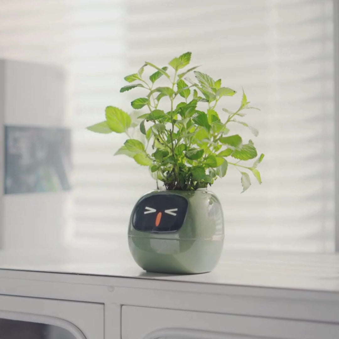 Video laden: 