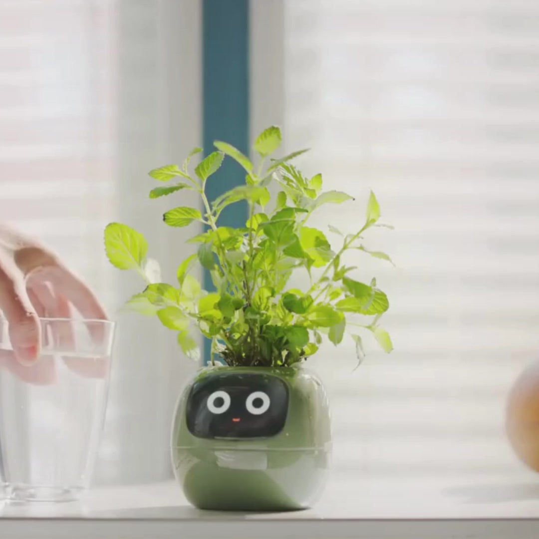 Video laden: 