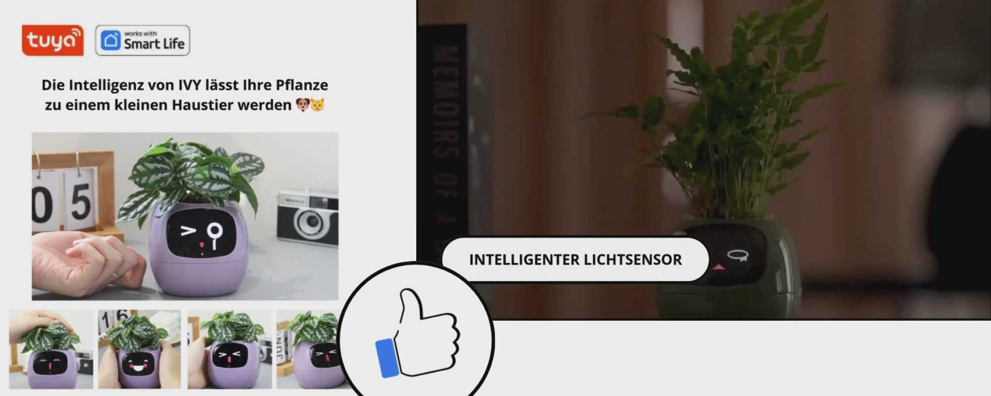 Video laden: 